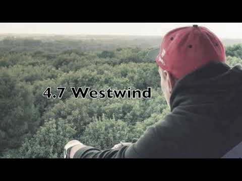 13. Messi 47 - Rhythmus der Form