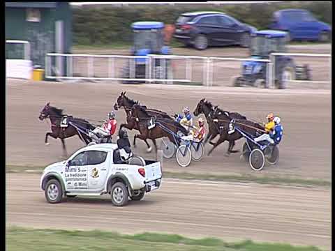 Trotto 26/03/2019 - 5ª corsa