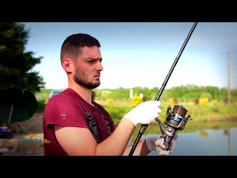 PAN RYBA #18 - MAJÓWKA NAD STAWAMI W SIEDLISKACH