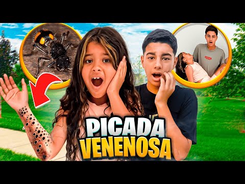 FORMIGA PICOU LORENINHA *ela vai ficar bem? 