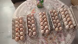 Karaknath chicken eggs. Sale direct from Farmer. 9968268067