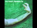 Jerry Cantrell - Psychotic Break 