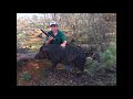 2018 Easter pig hunt 2018 Easter pig hunt