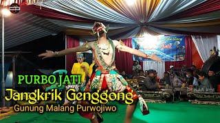 Download lagu Tari Lengger Jangkrik Genggong istimewa.., PJ Gunung Malang Kalikajar Wonosobo mp3