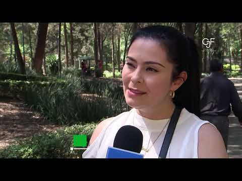 Representación y defensa de menores