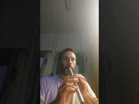 Pastheen Fionn with Shearwater C recorder whistles