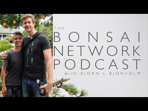 Bjorn Bjorholm. Interview with Andrei Bessonov. Bonsai Network Podcast.