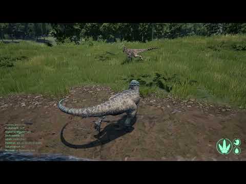 The isle Pachy vs Utah, Pachy vs dilo