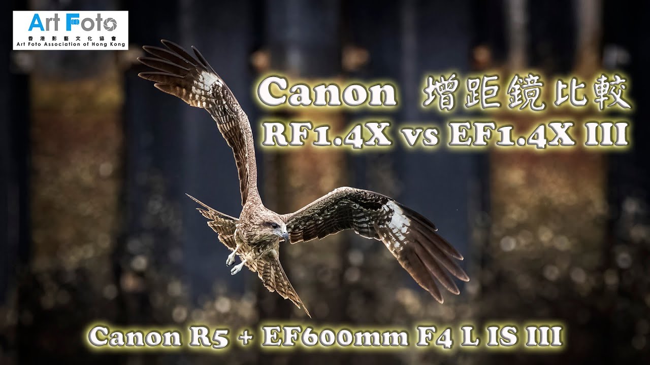 【攝影教學 #124】Canon 增距鏡比較 -  RF1.4X vs EF1.4X III （Canon R5 + EF600mm F4 L IS III) - Alex Fung FRPS