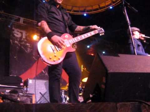 Street Dogs Fighter ft lauderdale revolution