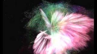 elros Tuominen-paradise freebird (Yes-Soft as a dove)