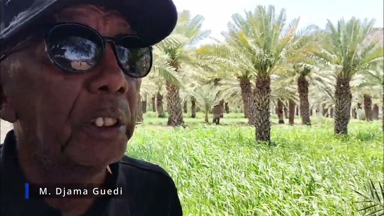M. Djama Guedi - Messages aux jeunes