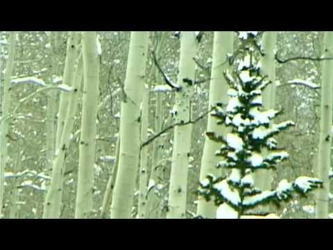 Impressions of Winter...  (Artistic Impressionist Style Music Video)