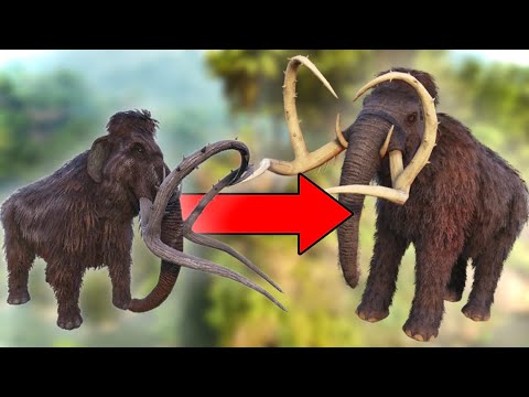 Every Creature With A TLC Update In Ark!