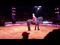Big Apple Circus