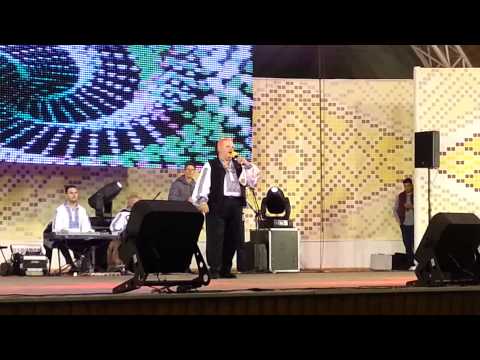 Petrica Moise LIVE Festivalul Vinului Timisoara 2014