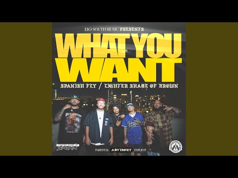 What You Want (feat. Lighter Shade of Brown, ODM & Money Moons)