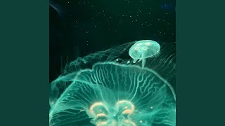 Download lagu Buku harian mp3