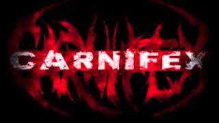 Carnifex- Enthroned in Isolation