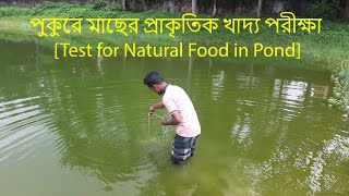 পুকুরে মাছের প্রাকৃতিক খাদ্য পরীক্ষা [Test for Natural fish food in pond]