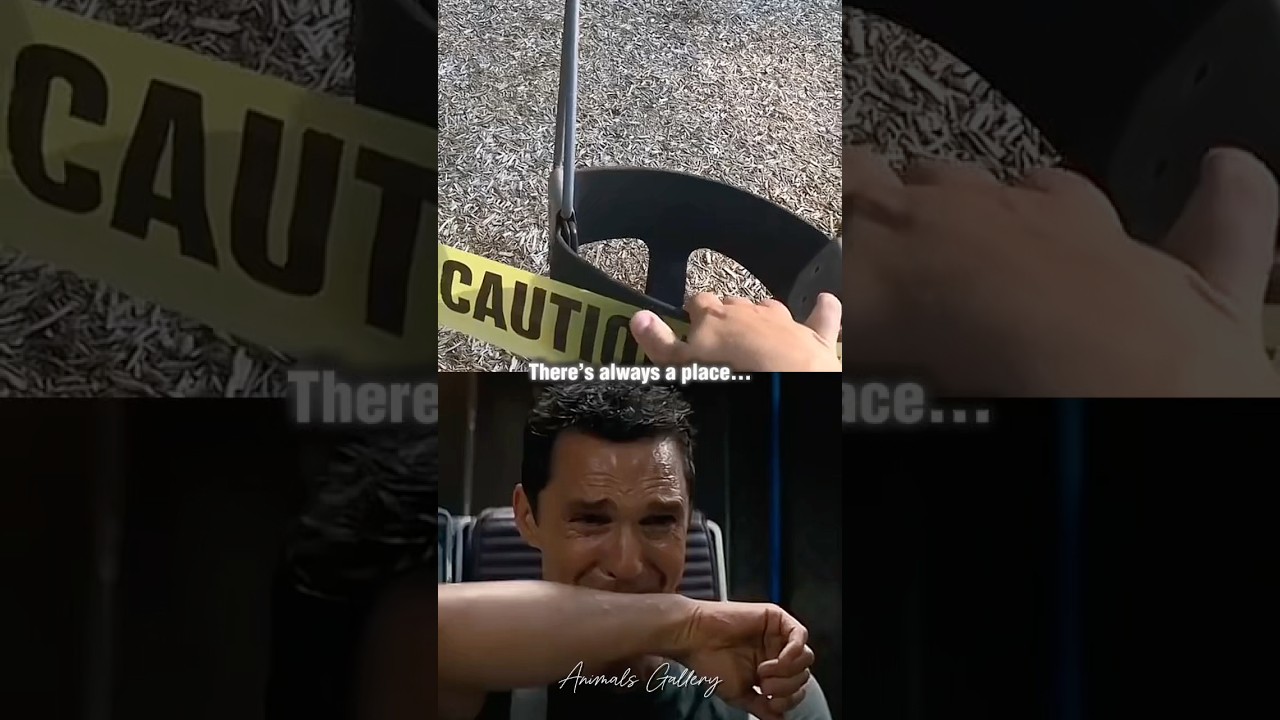 Sad Dog Video 💔 (MISSING DOG) #dog #sad #emotional #shorts