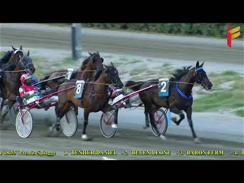 IV Corsa del 28 Luglio 2021   Metri 3000   4 Anni