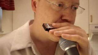 BYE BYE BIRD, Sonny Boy Williamson II (blues harmonica cover)