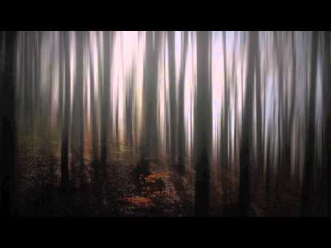 Krytikal - Kalinago Dub