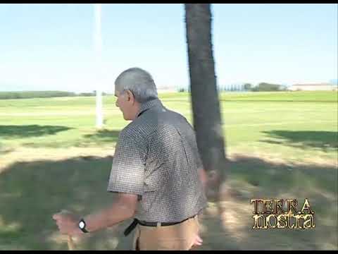 Martini Maresco percorso trekking Padule di Fucecchio Caltelmartini Morette  e monumento caduti