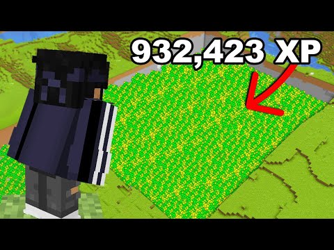 Yug Playz - Why I'm Stealing Everyone's XP in this Minecraft SMP...