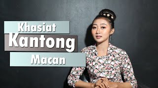 Download lagu Cara Menggunakan Kantong Macan Untuk Penarik Rezeki dan Pesugihan mp3