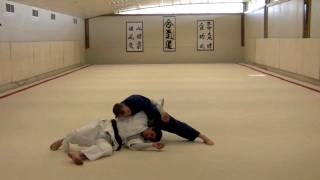 Polish Whizzer to Juji Gatame