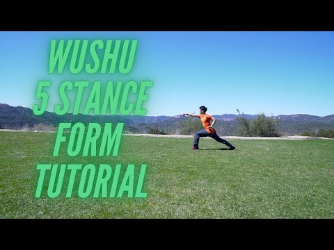 Wushu 5 Stance Form
