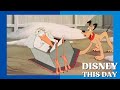 Cold Storage DISNEY THIS DAY February 9 1951