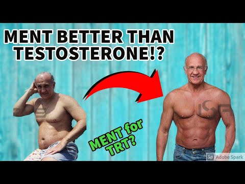 MENT For TRT? | Doctor's Analysis | Trestolone / MENT for Testosterone Replacement Therapy