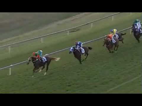 Samurai Warrior - 2019 SA Derby ( Gr1 )