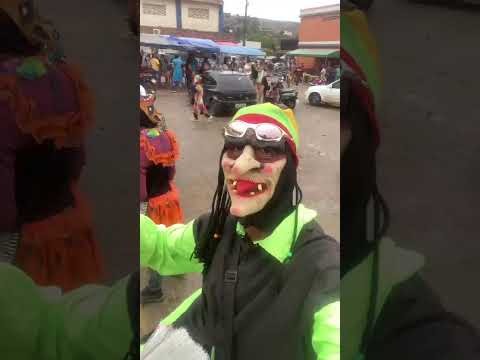 BURRINHAS DE SÃO VICENTE FÉRRER - PE. #shorts