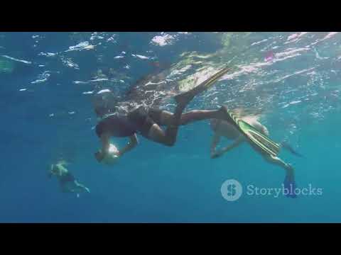 Discover Zanzibar  Your Next Dream Vacation