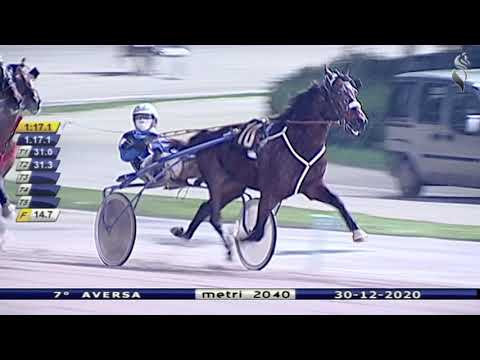 Aversa trotto 30 Dicembre 2020 - 7° Corsa