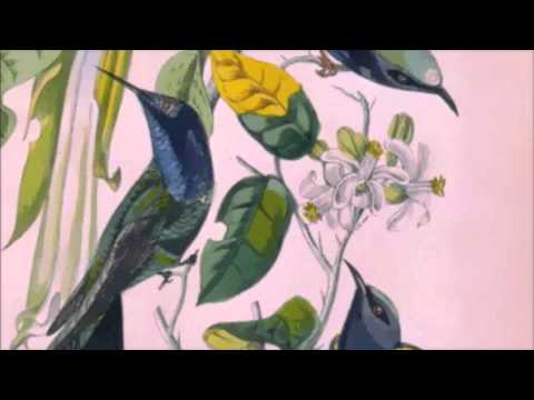 Susumu Yokota - Kodomotachi