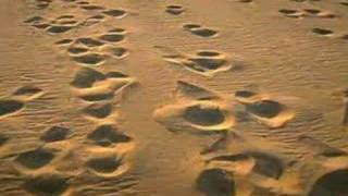 Il mare d'inverno - Enrico Ruggeri