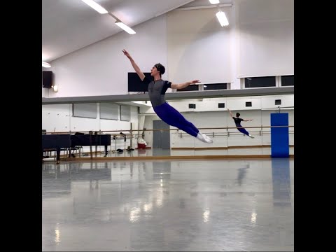 Дмитрий Выскубенко, ЩЕЛКУНЧИК. Dmitry Vyskubenko, THE NUTCRACKER. 2019