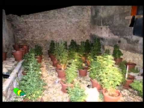 Ruoppolo Teleacras - Settembre, è tempo di...