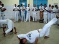 Babuge Capoeira Cordão de Ouro 