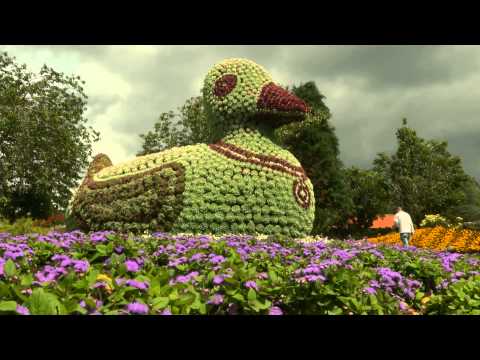 Wilkommen zu Mors Deutsch Version