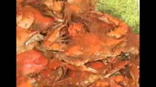 Franks Seafood Ultimate Seafood Market TV Commercial