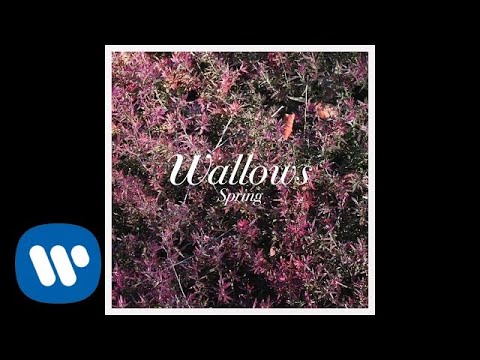 Wallows - It's Only Right Bass Tab