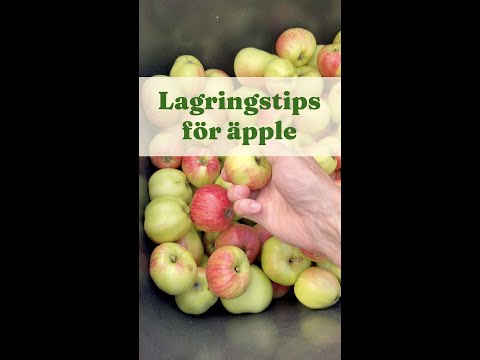 Lagringstips äpple - Trädgårdshacks med GardenR