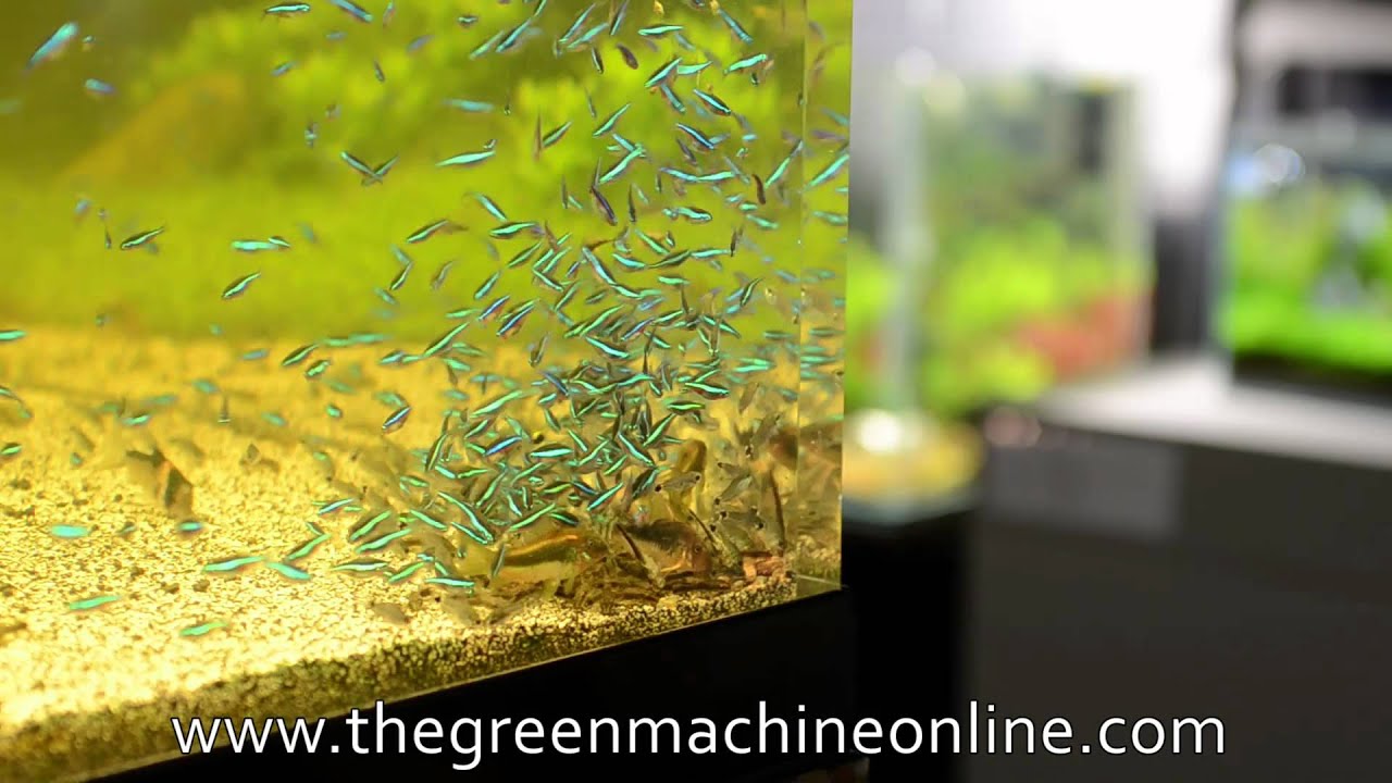 YouTube video preview