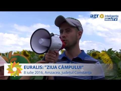 Ziua Câmpului 2016. Eveniment EURALIS la Amzacea, jud. Constanta